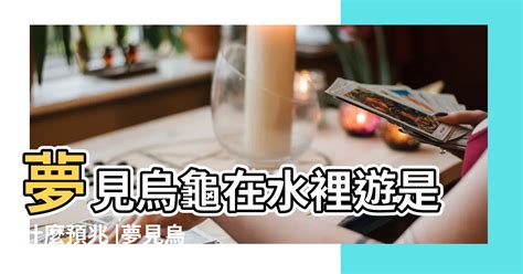 夢到ㄨ龜|【夢見ㄨ龜】夢見烏龜：好運臨頭！不同顏色預示著什麼？